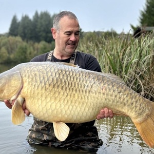 Common 20241022 43lb