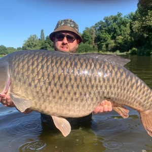 Common 20250709 53lb