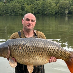 Common 20250904 41lb