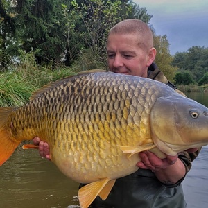 Common 20251025 36lb