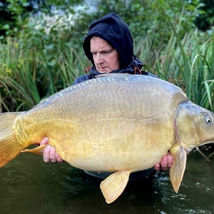 Mirror 20251026 44lb