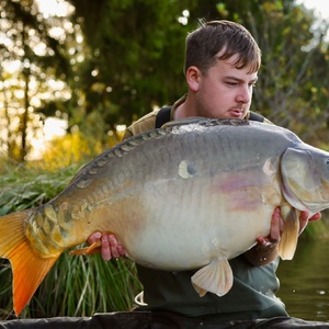 Mirror 20251105 45lb 